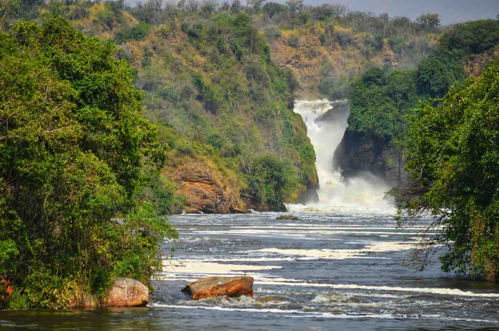 safari murchison falls uganda