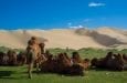 deserto del gobi mongolia