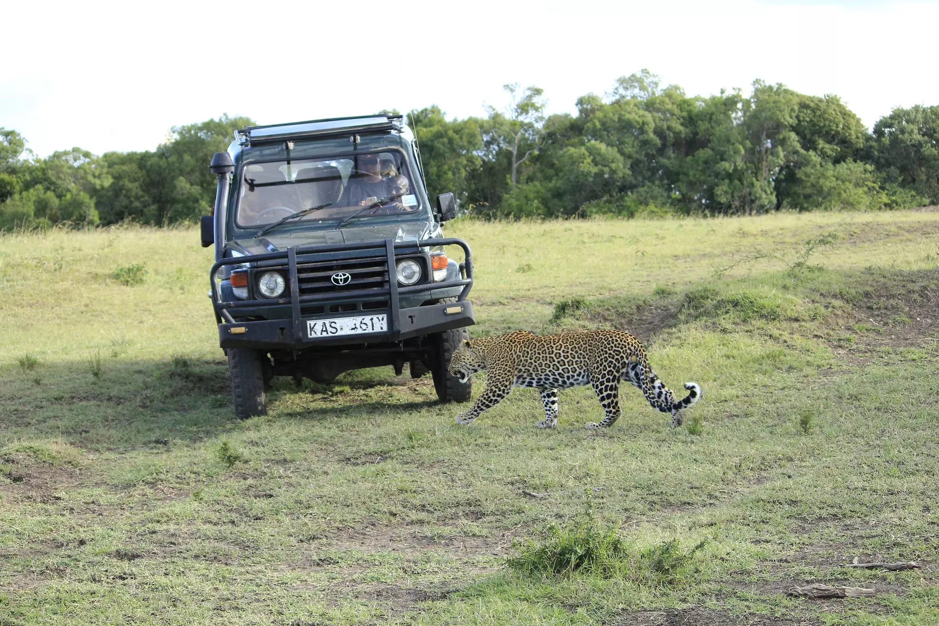 quanti giorni per safari in kenya