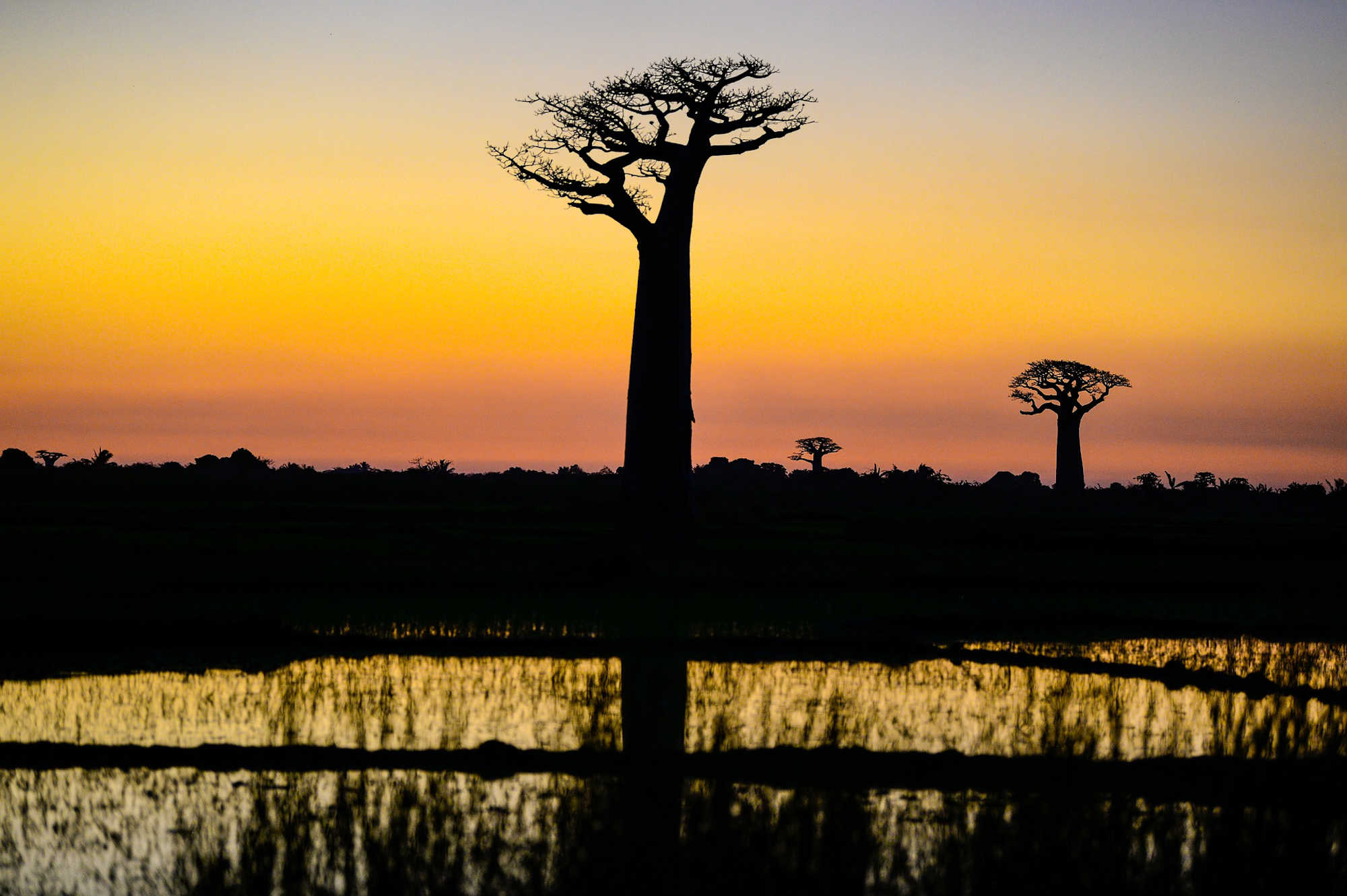 madagascar tour del sud