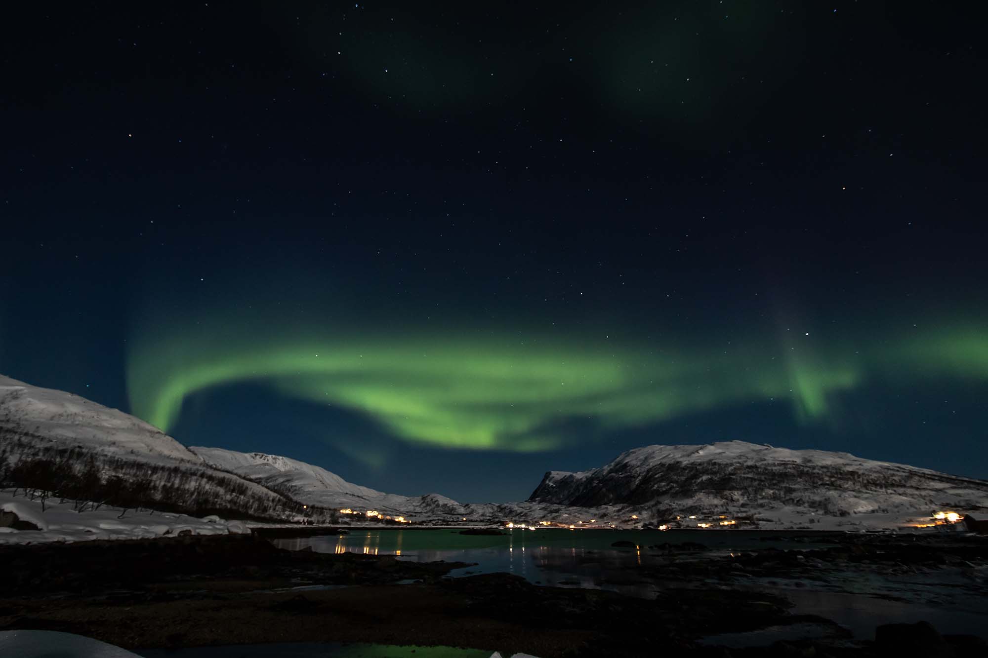 norvegia aurora