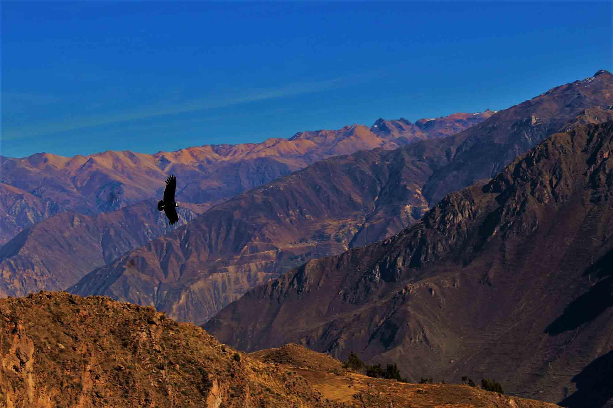 peru lima