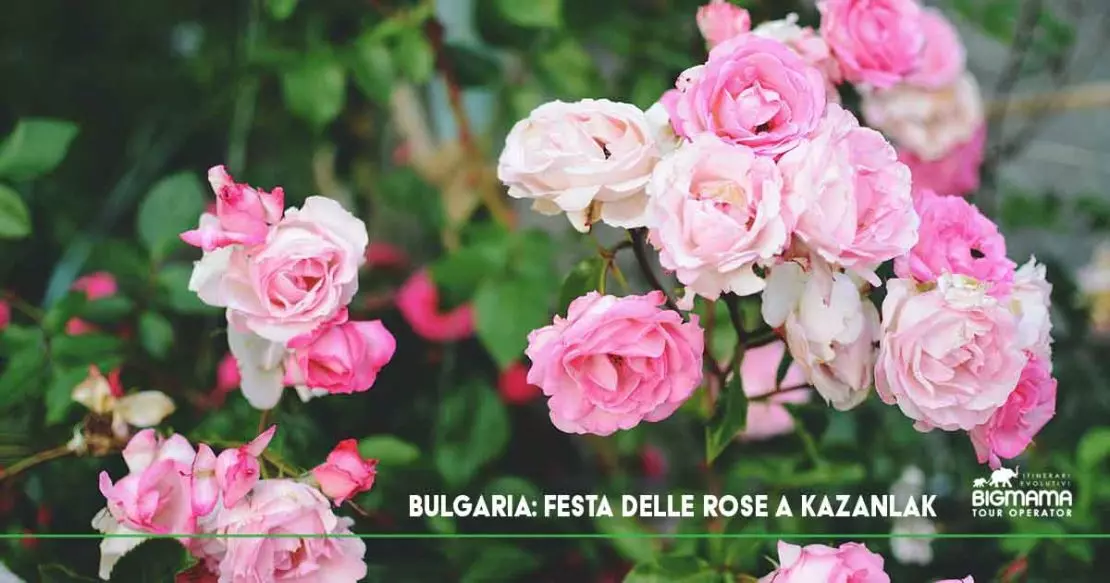 Bulgaria Festa delle Rose