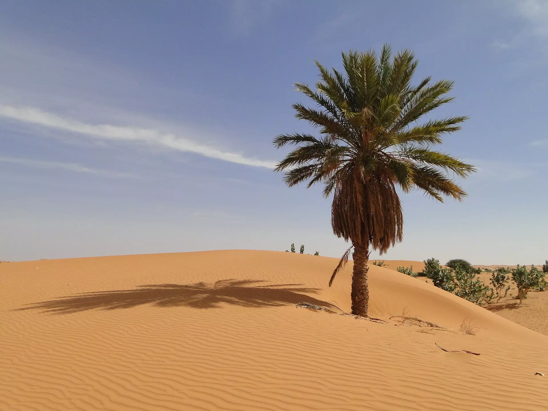 viaggio in mauritania