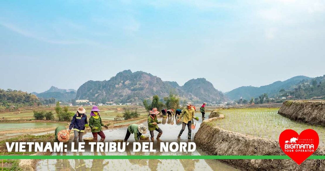 vietnam tribù del nord
