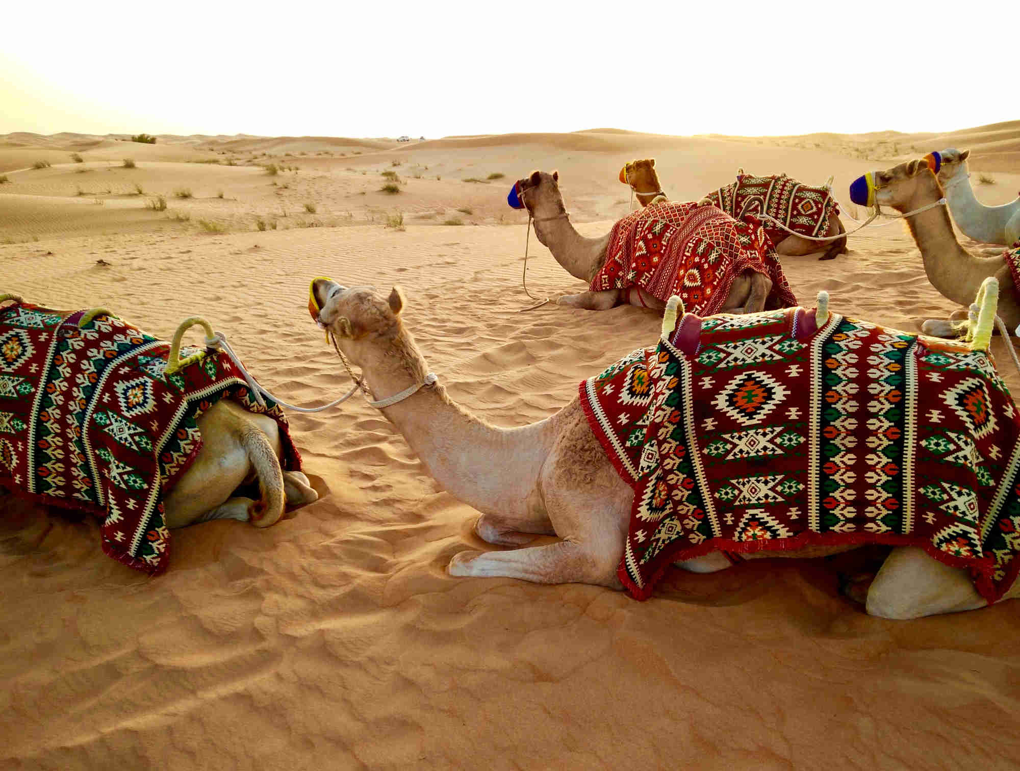 deserto dubai