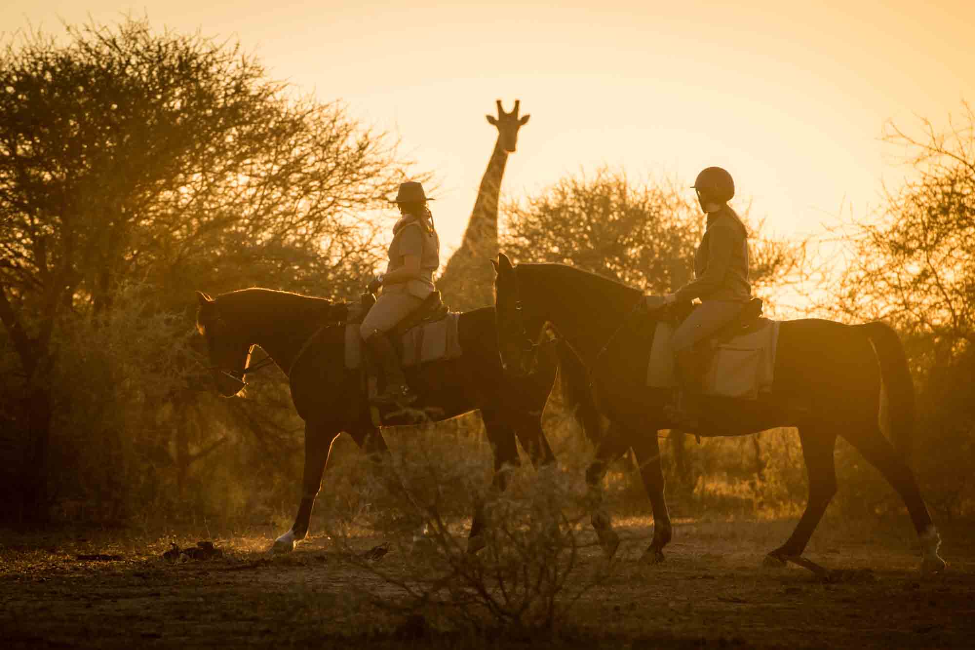 sudafrica a cavallo