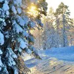 rovaniemi viaggio bigmama