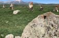Stonehenge armena