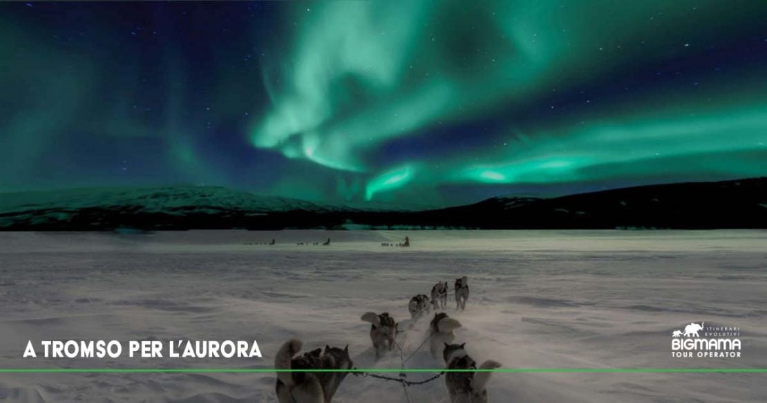 viaggio tromso per aurora boreale bigmama travel