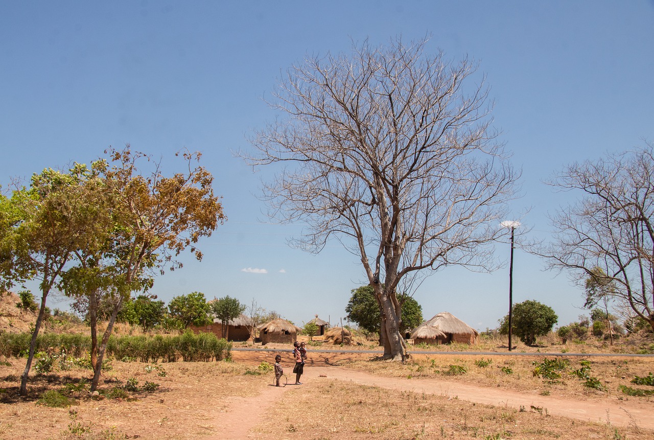 viaggio in zambia in campo tendato
