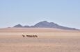 namibia deserto