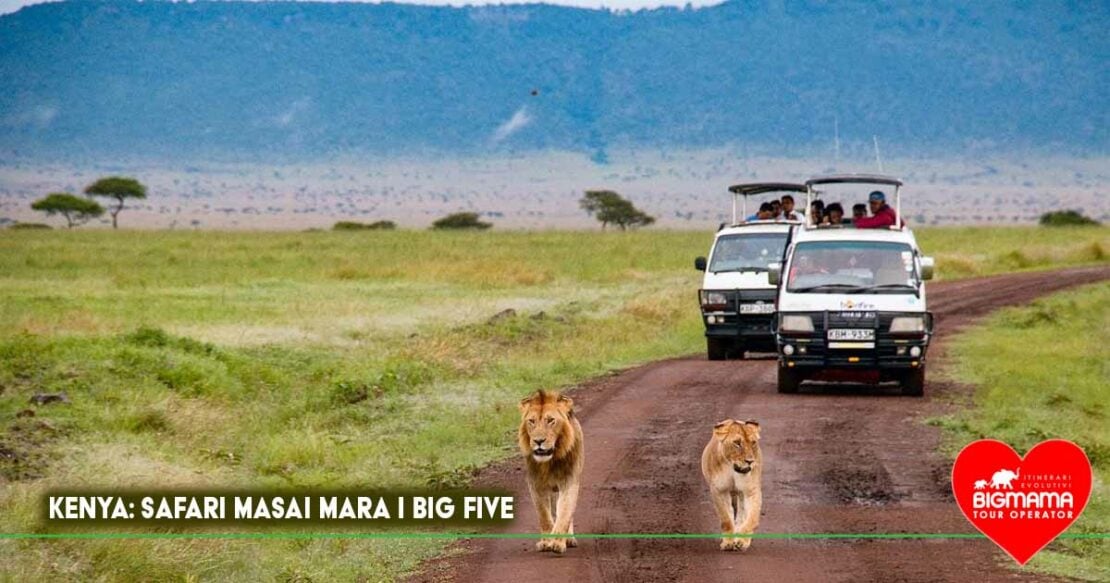 safari masai mara kenya