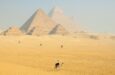 piramidi giza viaggio cairo