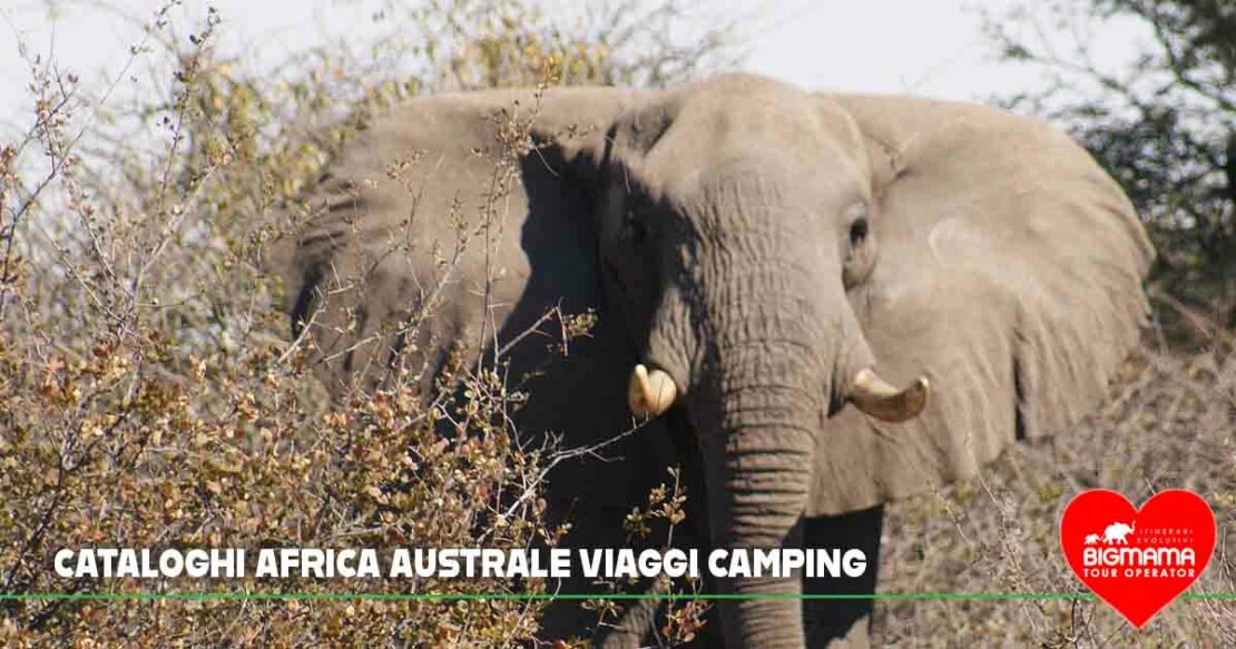 africa australe viaggi camping