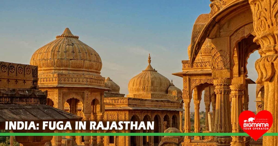 tour rajasthan