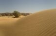 algeria deserto tuareg