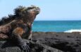 ecuador vulcani e galapagos