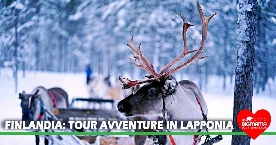 finlandia tour