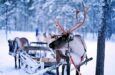 finlandia tour avventure in lapponia