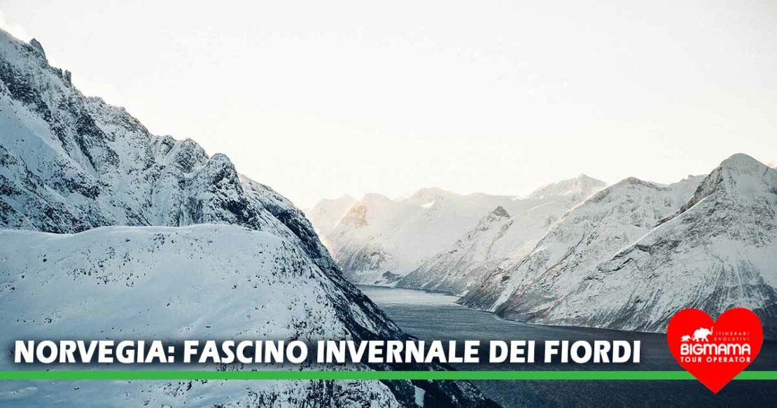 fiordi della norvegia