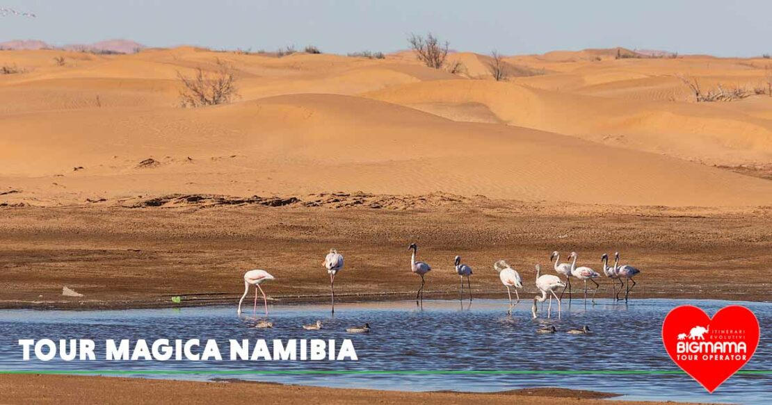 Tour con guida Namibia