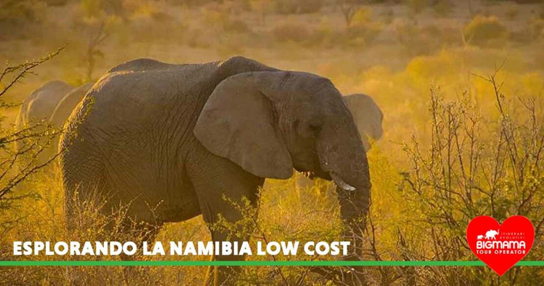 namibia low cost