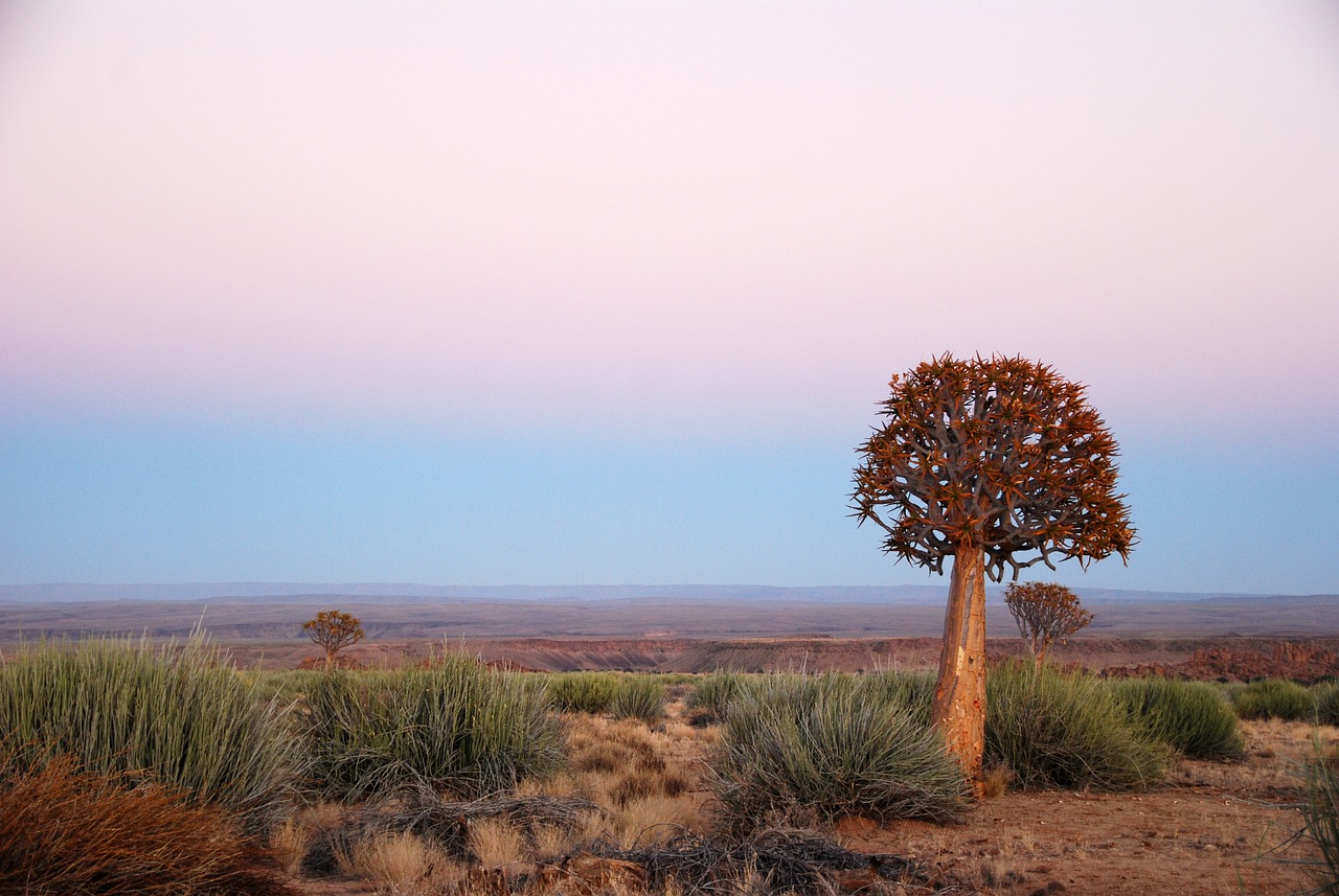 namibia tour low cost