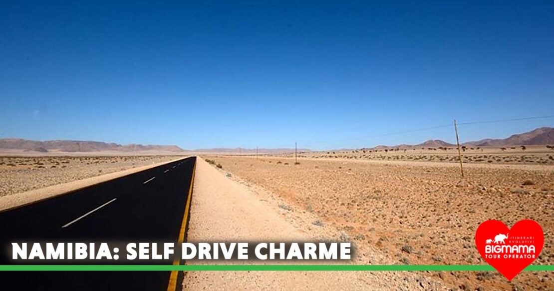 self drive namibia