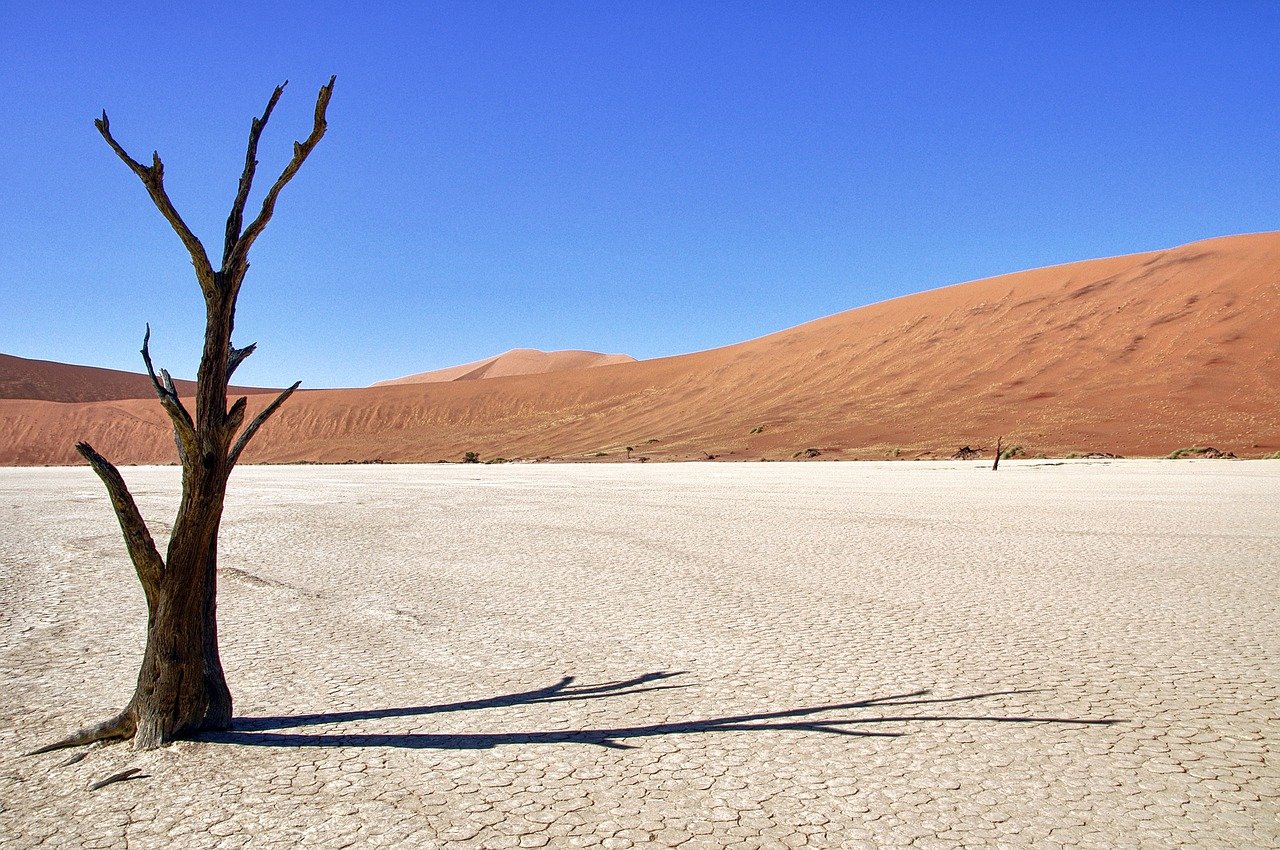 self drive namibia con auto anoleggio