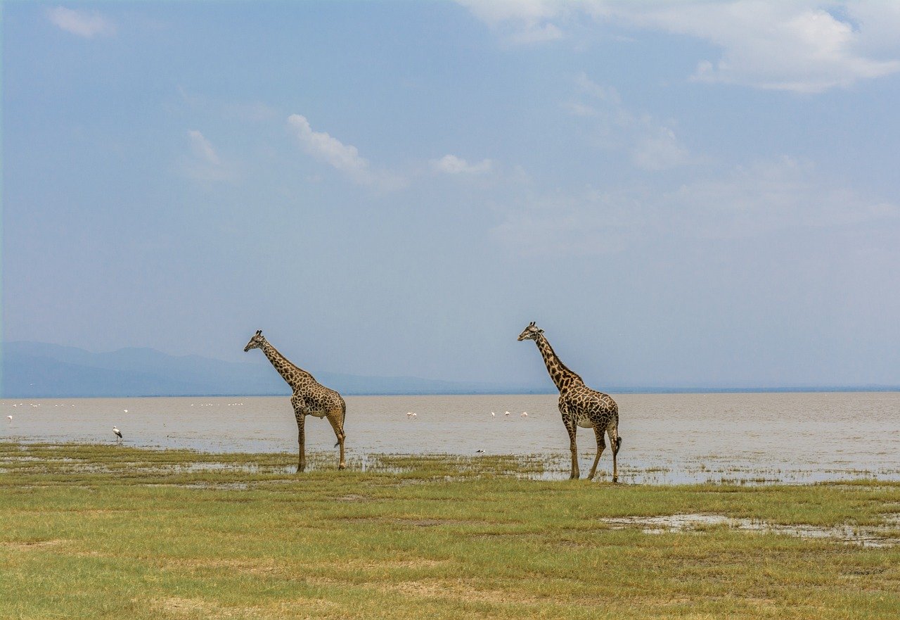 tanzania viaggio Safari Bahashishi