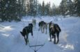 Avventura invernale a Malangen e Tromso