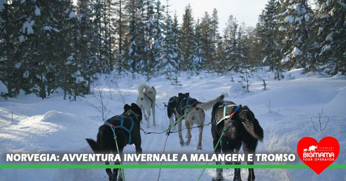norvegia tour invernale