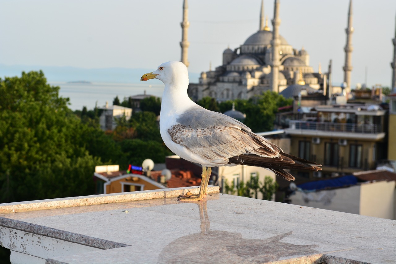 tour turchia Likya con istanbul
