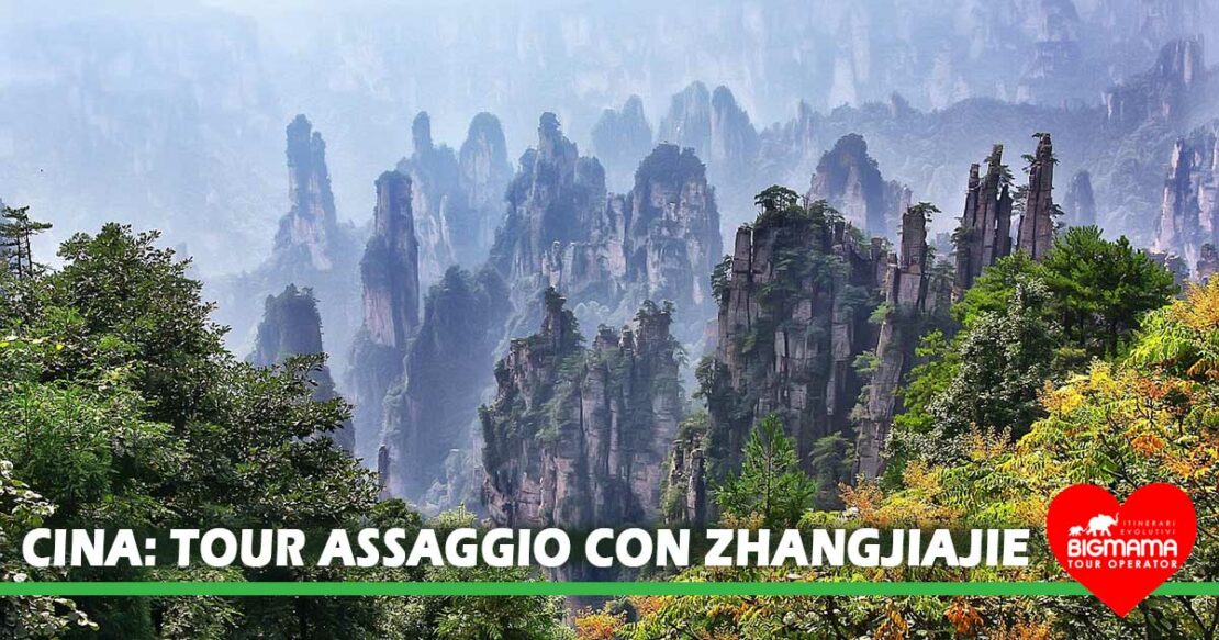 cina tour guidato