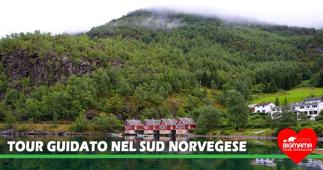Norvegia del sud tour