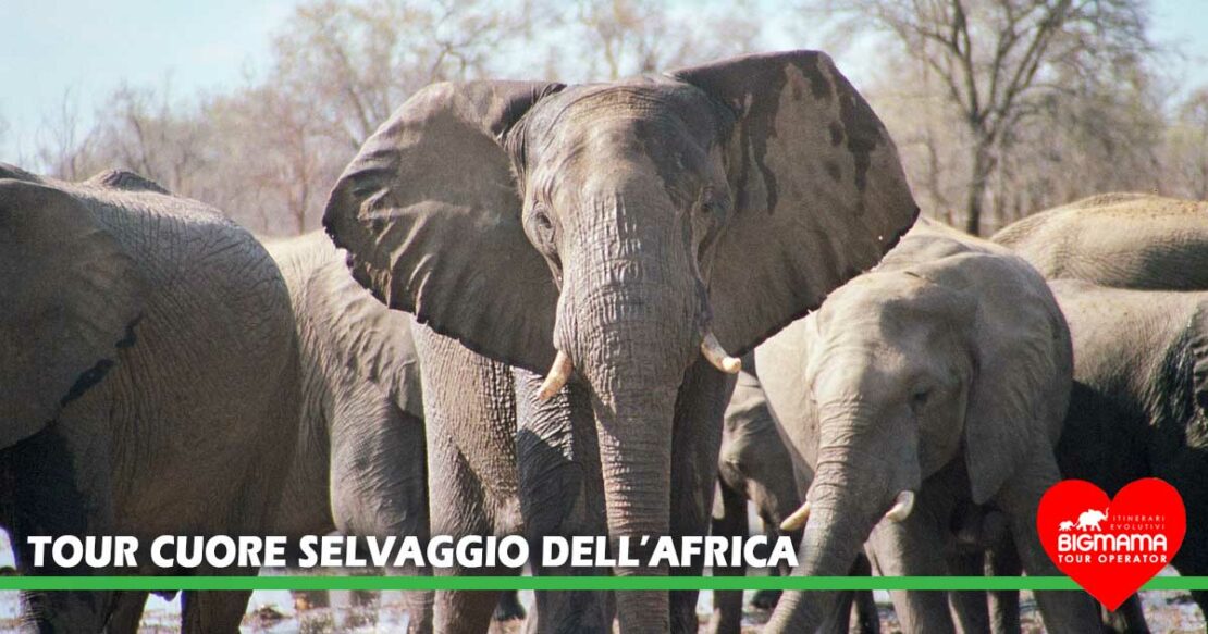 Africa Australe tour