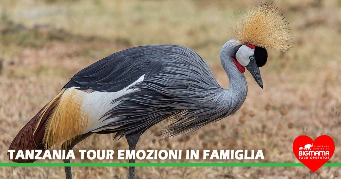 Tanzania del nord Tanzania del nord