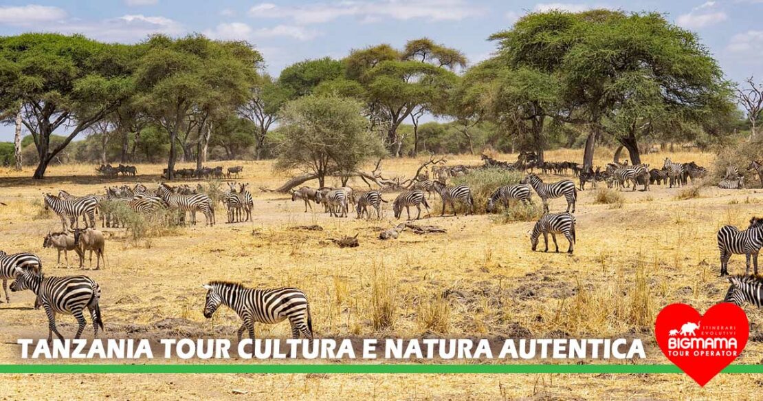 Tanzania tour privato