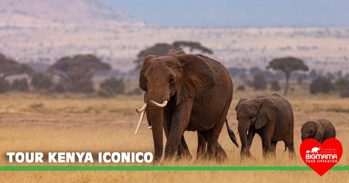 Viaggio Kenya Viaggio Kenya