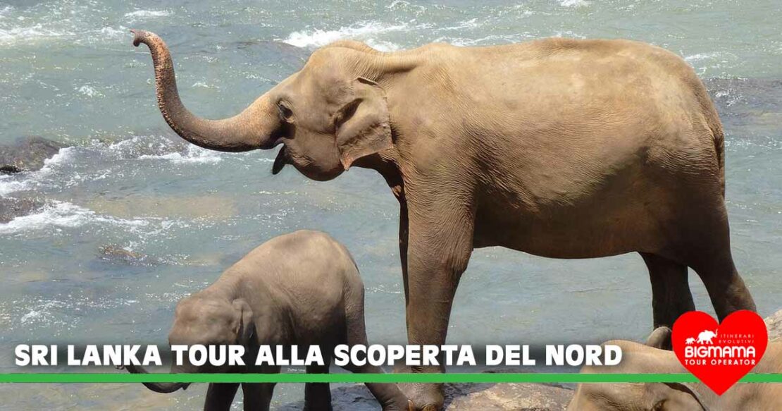 Sri Lanka viaggio breve