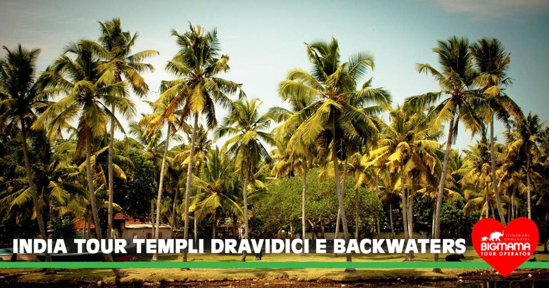 India meridionale tour
