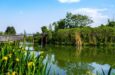 Cina tour con Chengdu di gruppo