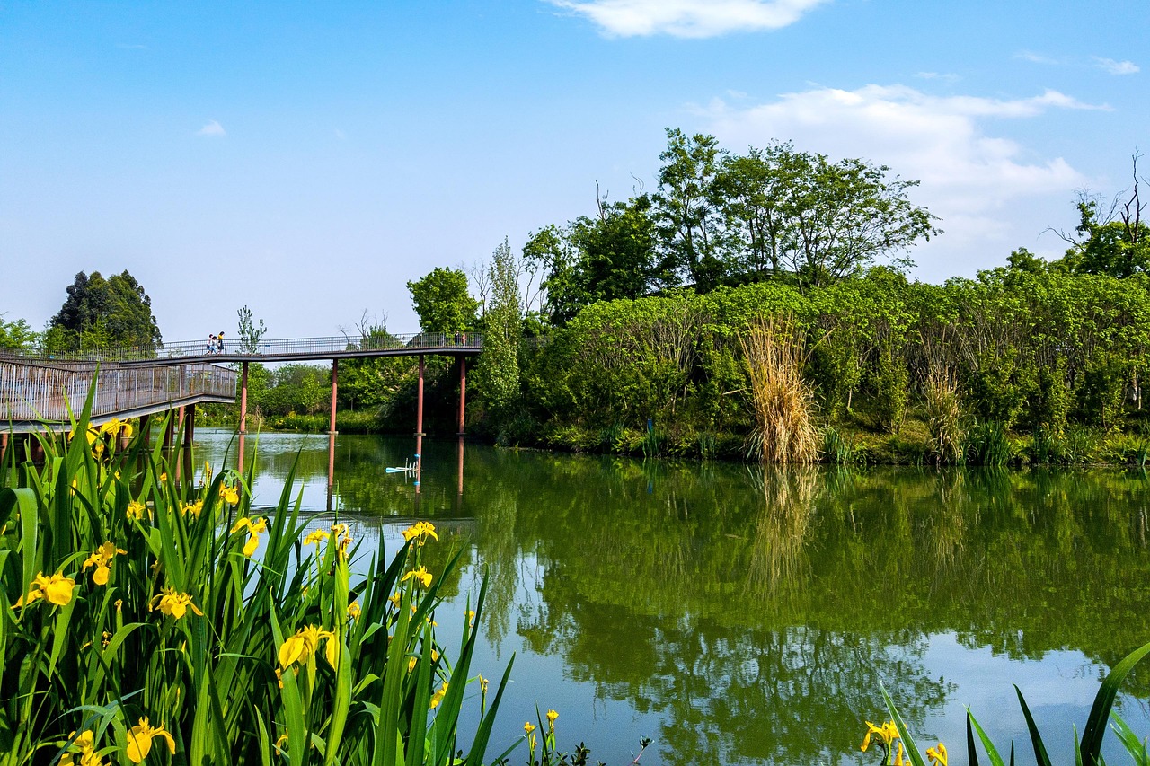 Cina tour con Chengdu di gruppo