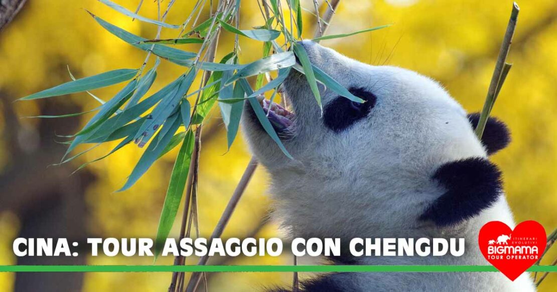 Tour Cina con guida Tour Cina con guida