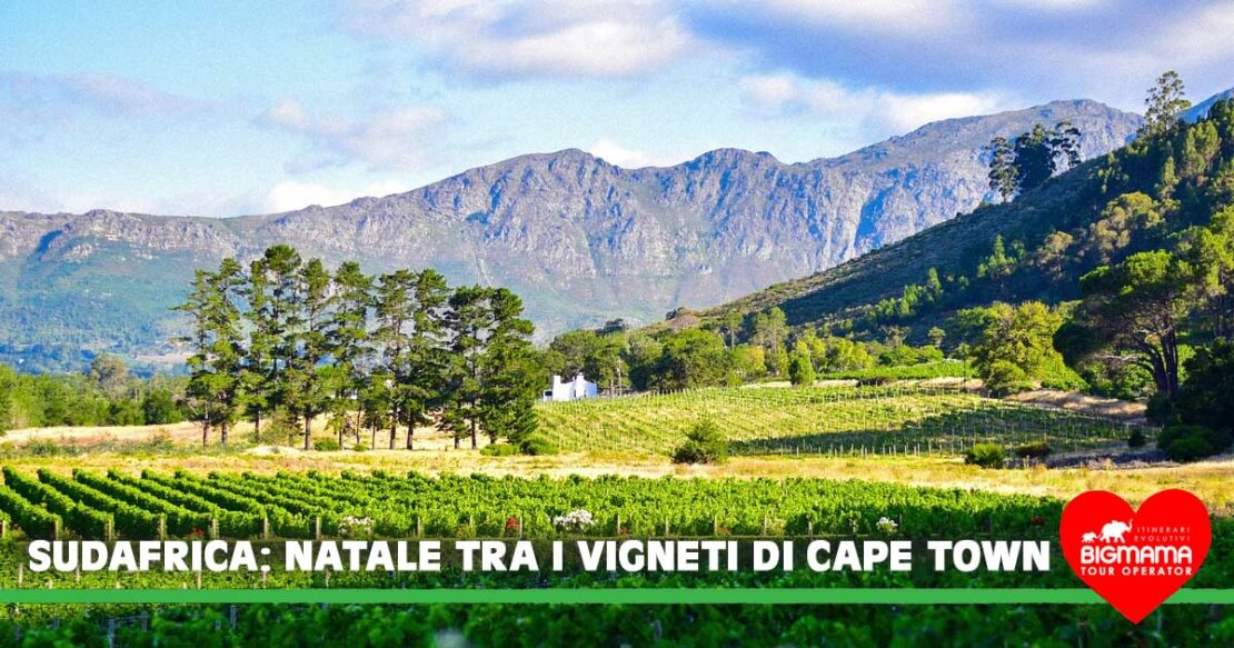 Sudafrica viaggio di gruppo
