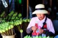 Tour Cambogia e Thailandia con guida