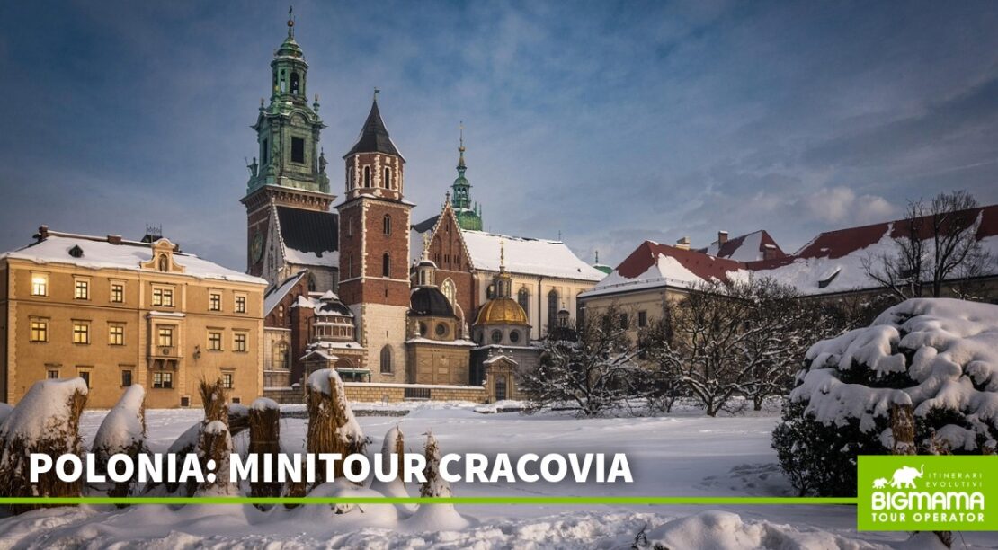 Minitour Cracovia Minitour Cracovia