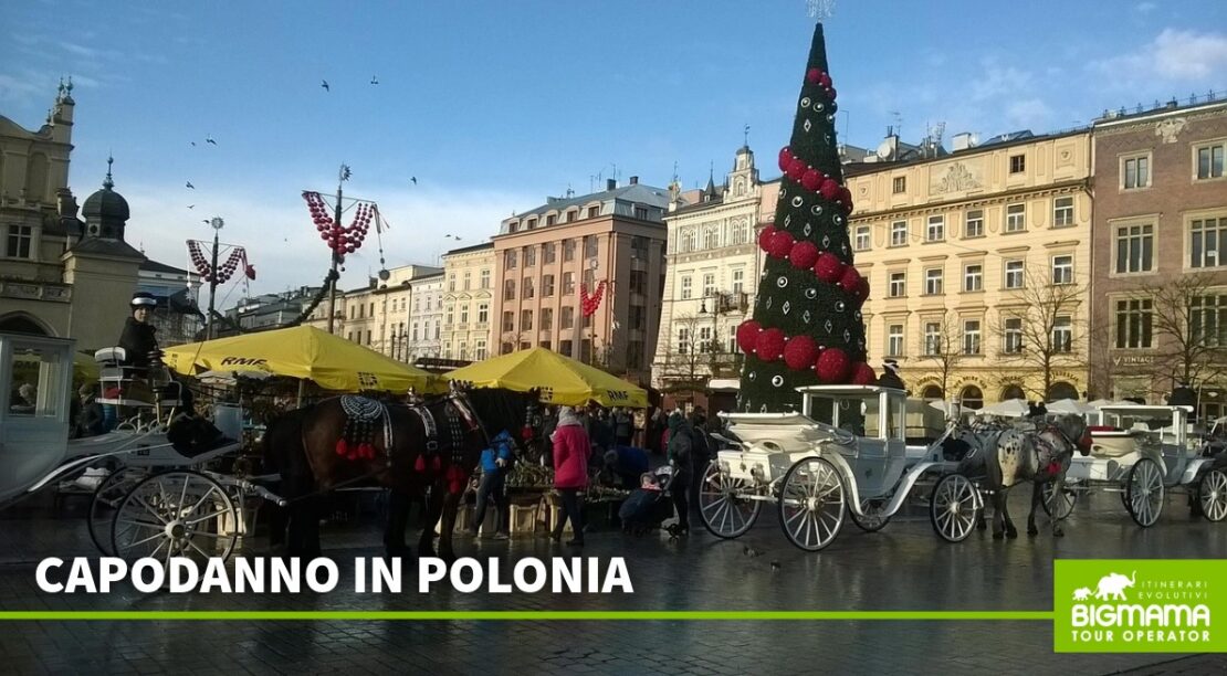 Polonia viaggio guidato